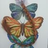 Anna Braid - Image 4